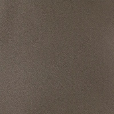 Kasmir BY DESIGN        COFFEE          